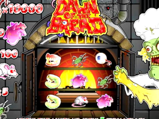 800% Kasino Bonus Perlawanan di Kasino Cashmio